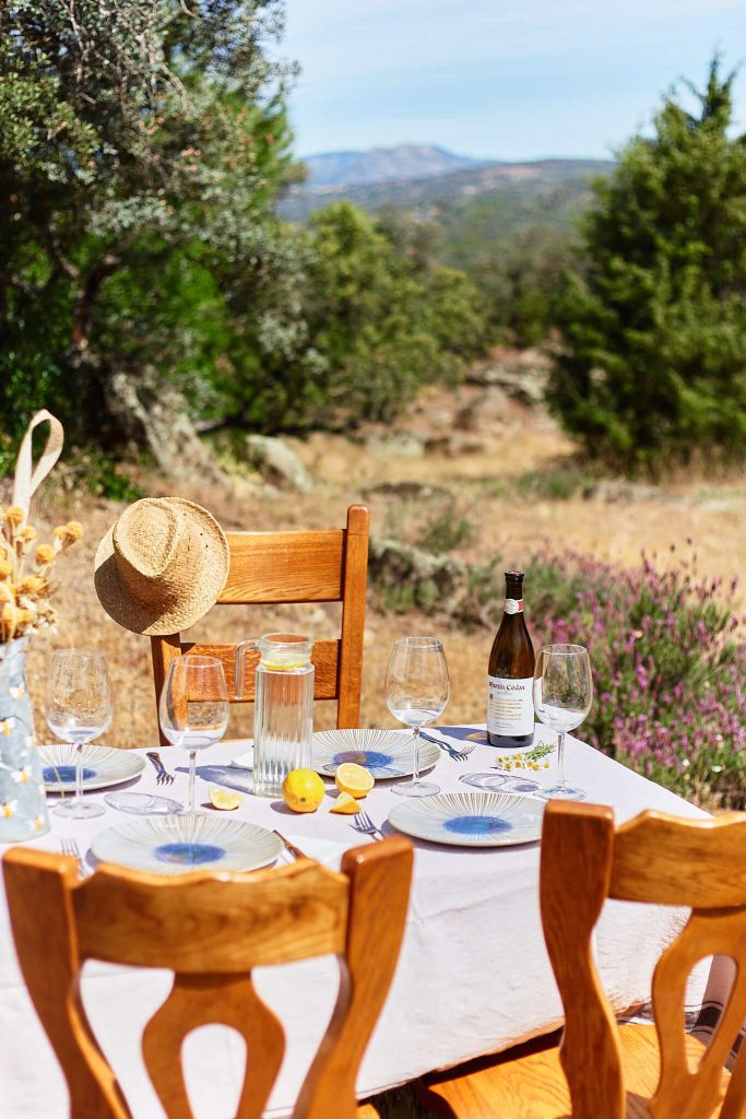 Lifestyle - picnic in nature - editorial photography